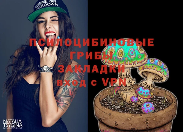 первитин Осташков