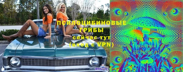 мет Осинники
