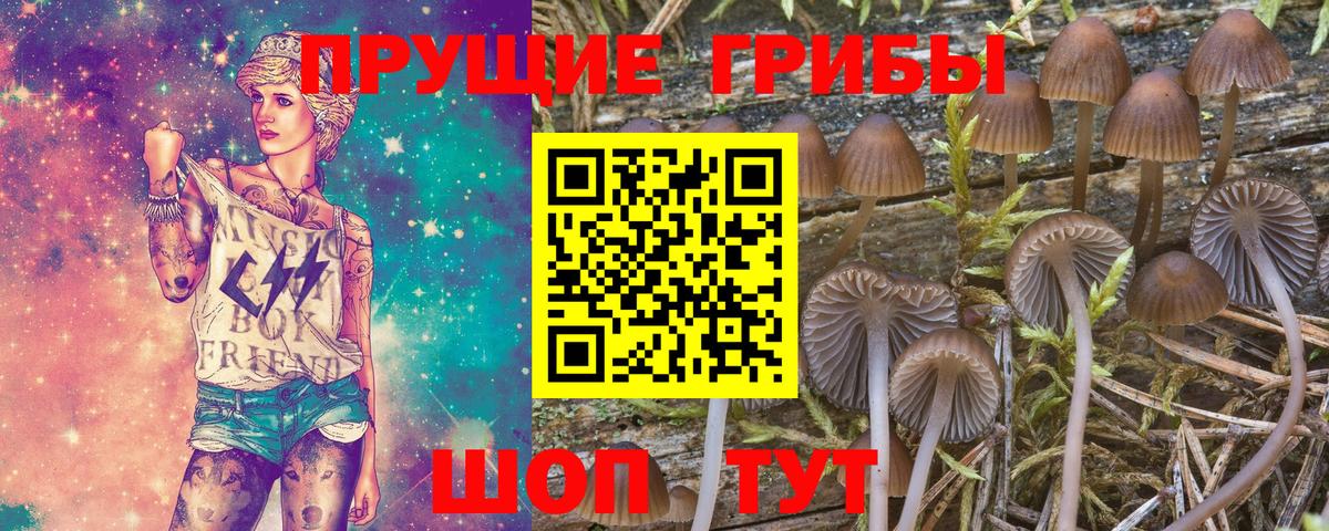 Псилоцибиновые грибы мицелий  Вход с VPN  Арсеньев 